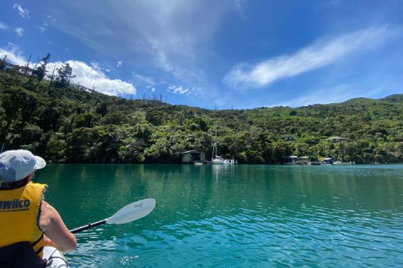 Kayak Queen Charlotte Sound