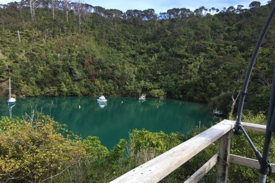Summer evening entertaining on the deck