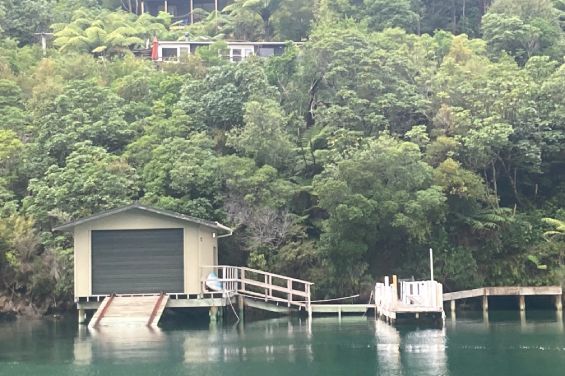 Native bush surrounding Portobello Bach Double Cove