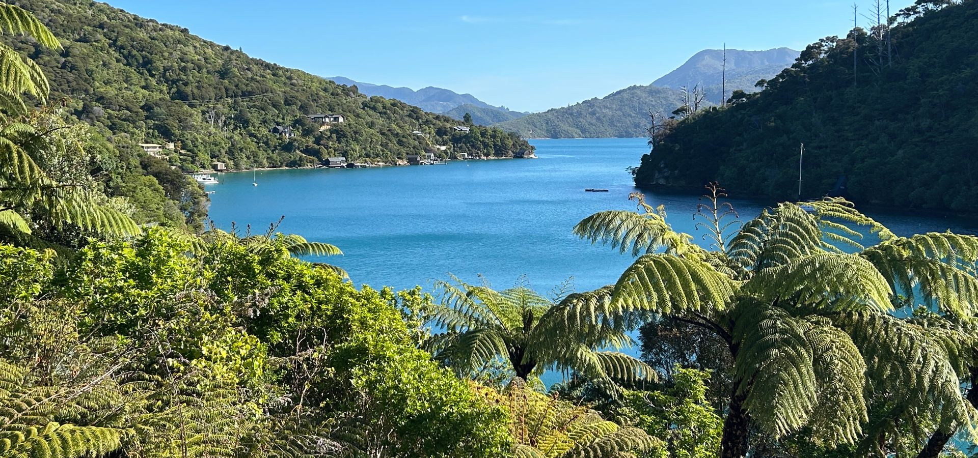 Portobello Bach overlooking Double Cove in Queen Charlotte Sound