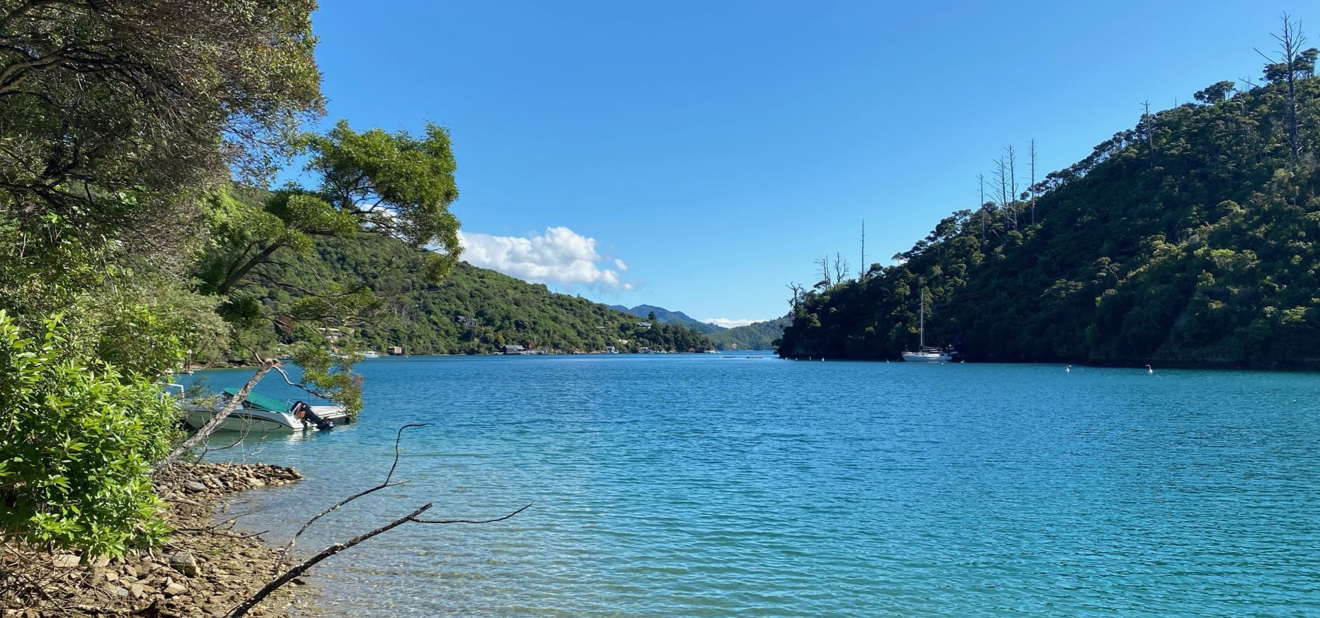 Protected bay setting in Double Cove