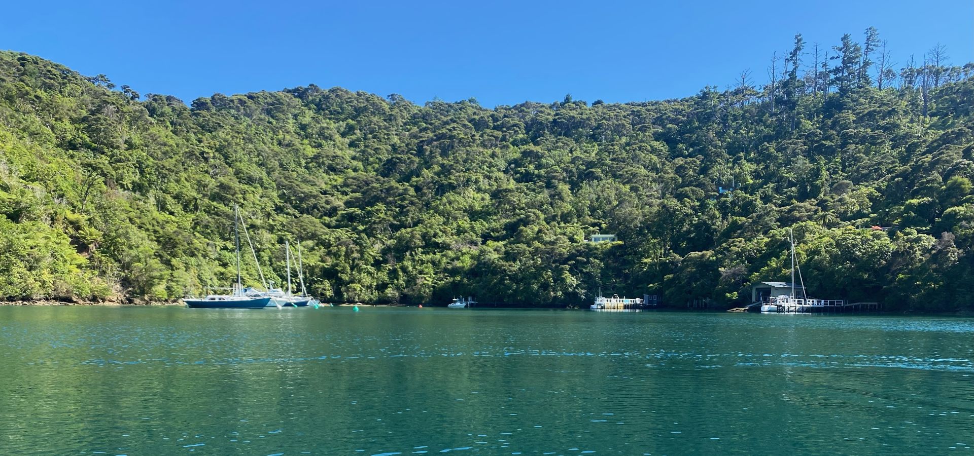 Private dock at Portobello Bach Double Cove, Marlborough Sounds